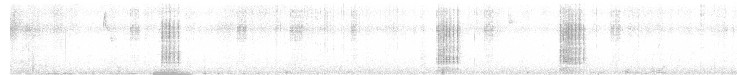 tukan černozobý - ML646377929