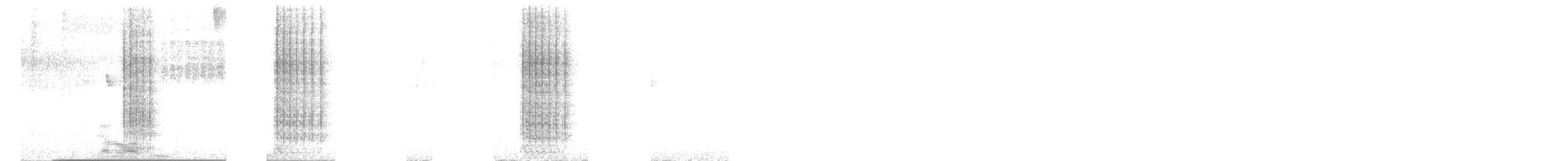 tukan černozobý - ML646377930