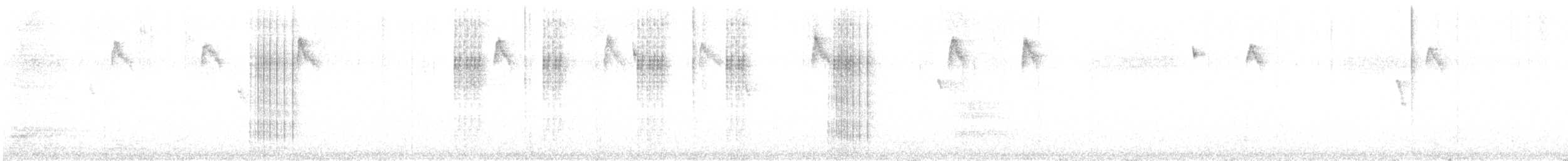 tukan černozobý - ML646377931