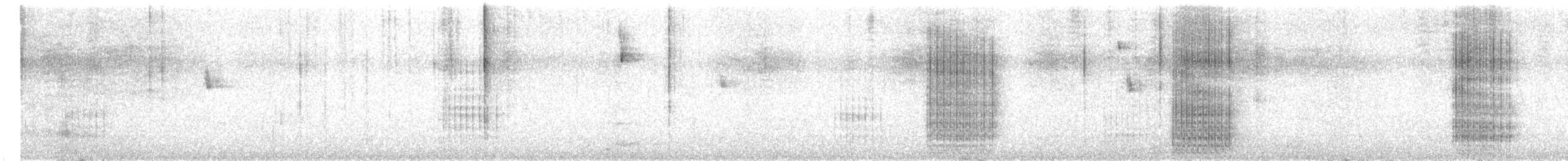 tukan černozobý - ML646377932