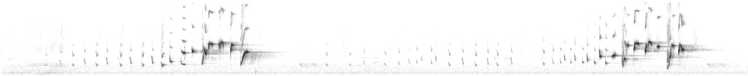 Willie-wagtail - ML646377933