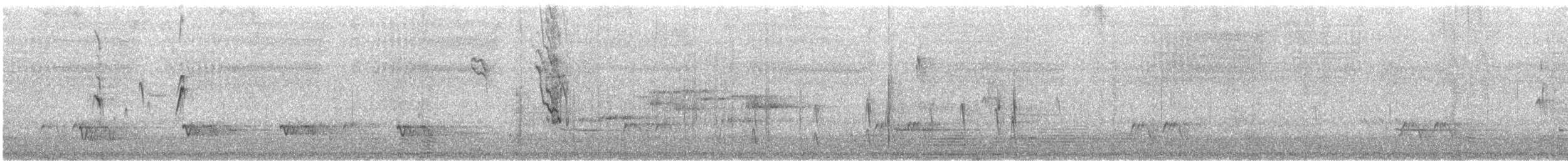 Yellow-plumed Honeyeater - ML646377946