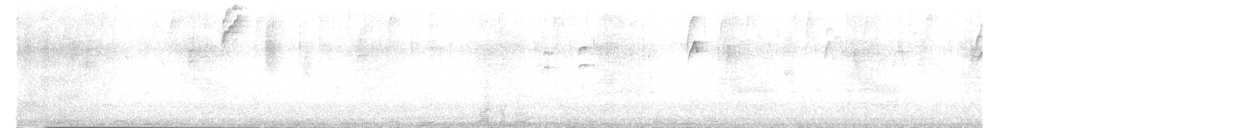 Black-collared Jay - ML646377949