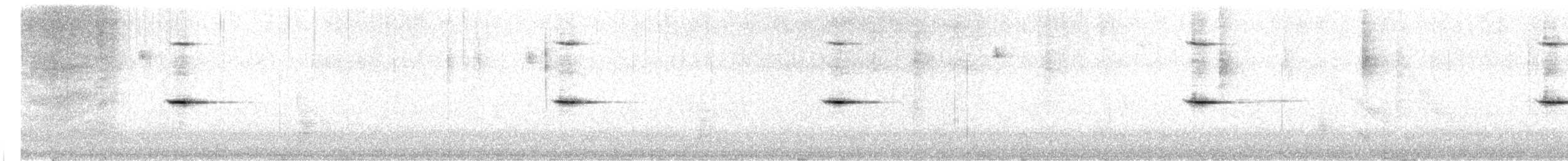 Black-collared Jay - ML646377950