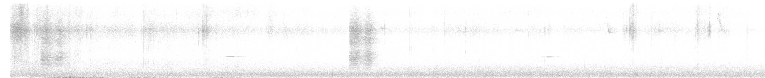 Black-collared Jay - ML646377951