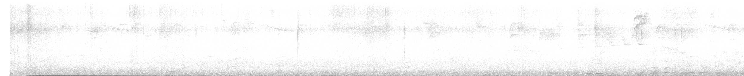 Black-collared Jay - ML646377952