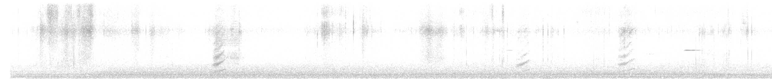 Black-collared Jay - ML646377953