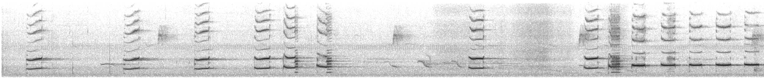 Australian Ringneck - ML646377964