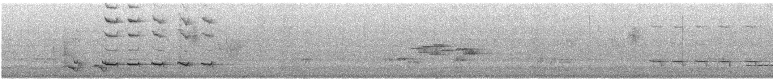 Australian Ringneck - ML646377965