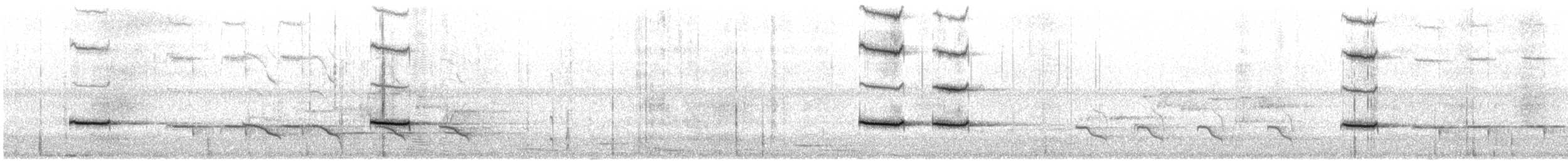 Australian Ringneck - ML646377966