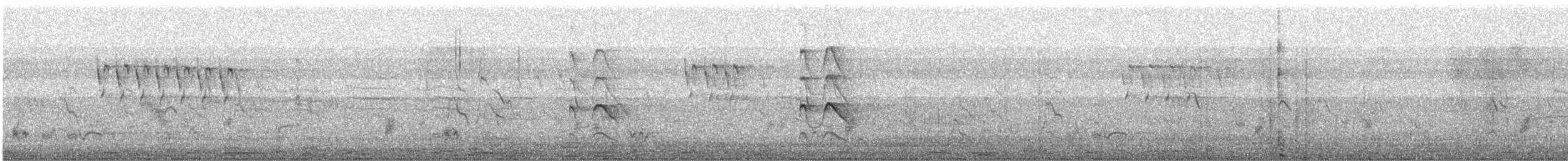 Shikra - ML646378002