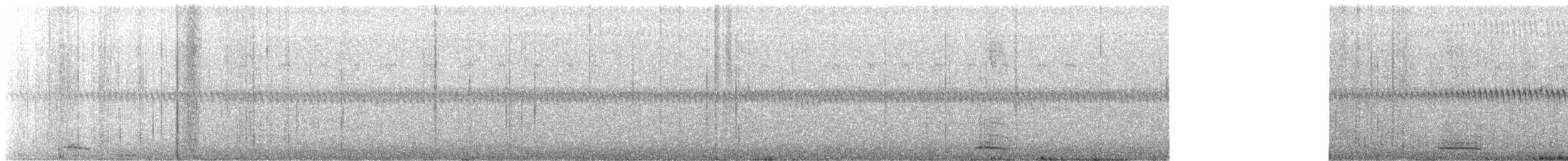 Ibis zuria - ML646378186