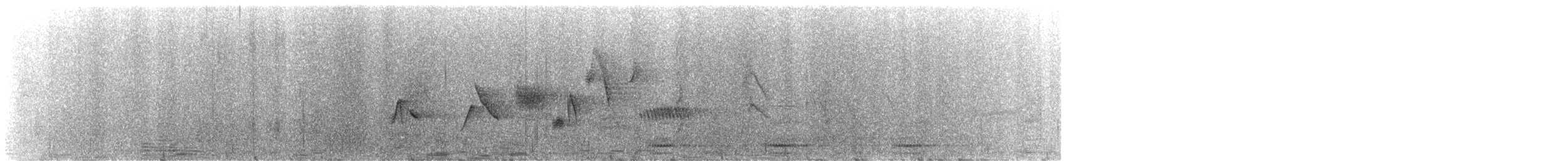 Fox Sparrow (Slate-colored) - ML646378438