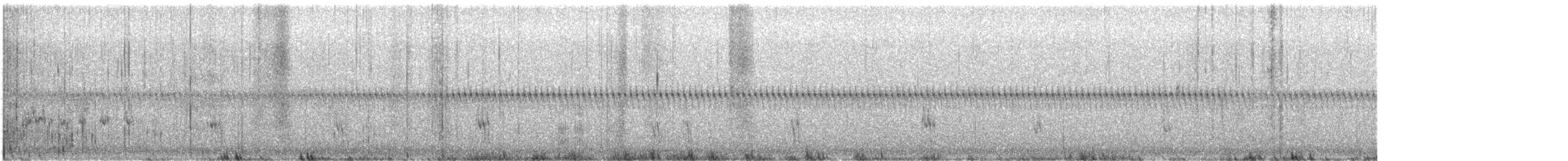 Txirri pektorala - ML646378479