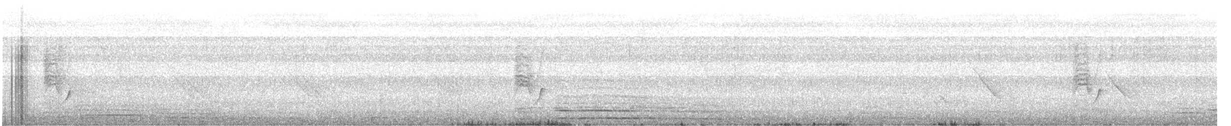 Loten's Sunbird - ML646378640