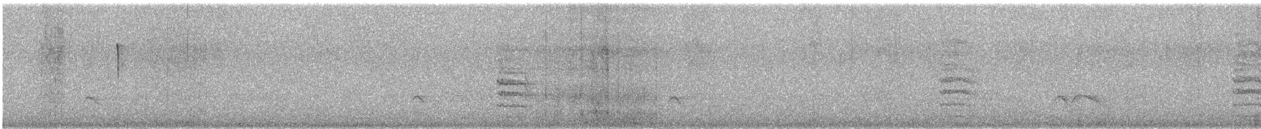 Austral Negrito - ML646378988