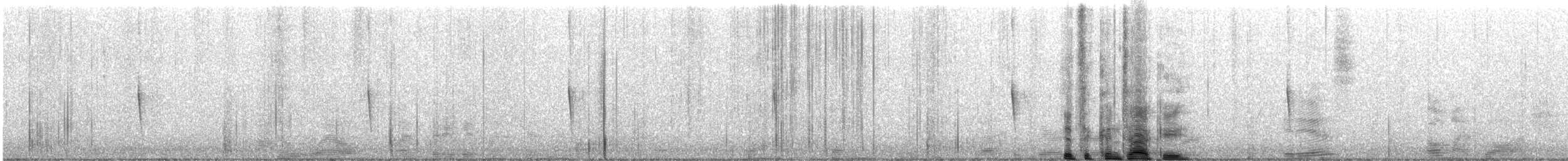 kentuckyparula - ML646380012