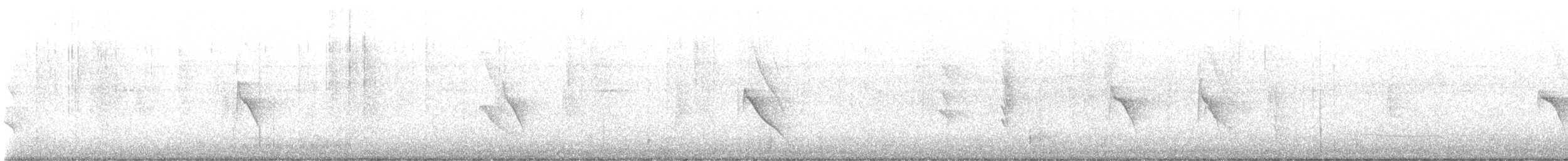 Dot-winged Antwren - ML646380046