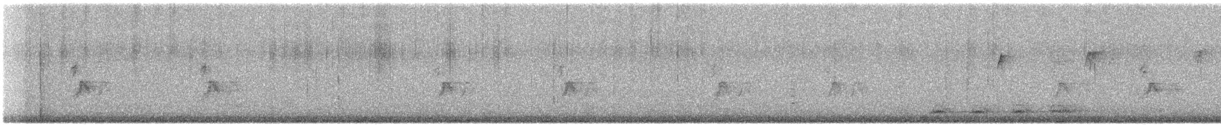 House Sparrow - ML646380877