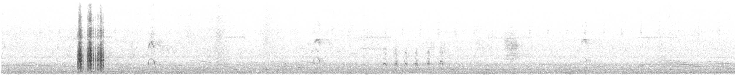 Silver Gull (Silver) - ML646380975