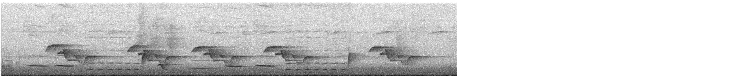 Rufous-and-white Wren - ML646381042