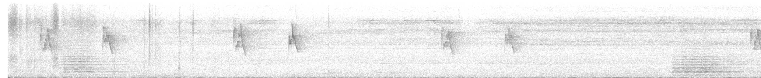 Mosquitero Verdoso - ML646381363