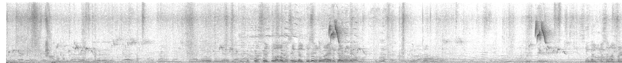 østsanger - ML646381524