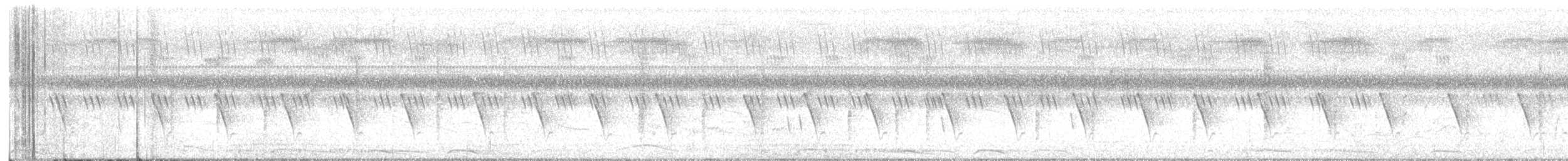 langstjertskredderfugl - ML646381691