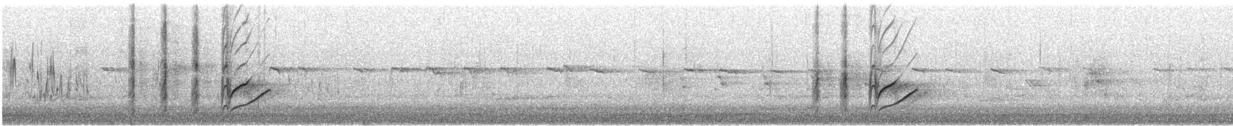 Dusky Woodswallow - ML646381800