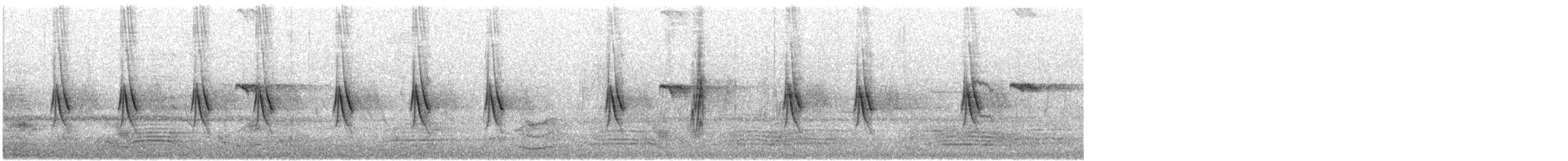 Tree Martin - ML646381804