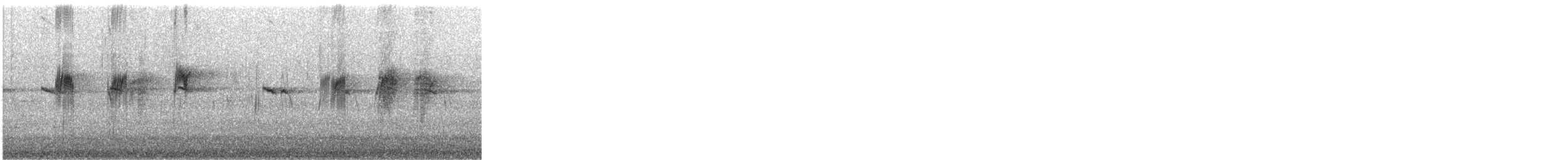 Elegant Parrot - ML646381813