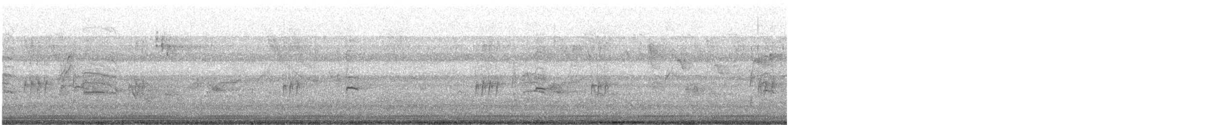 hvitgumpnonne - ML646381920