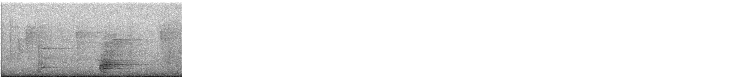 Mealy Amazon - ML646382366