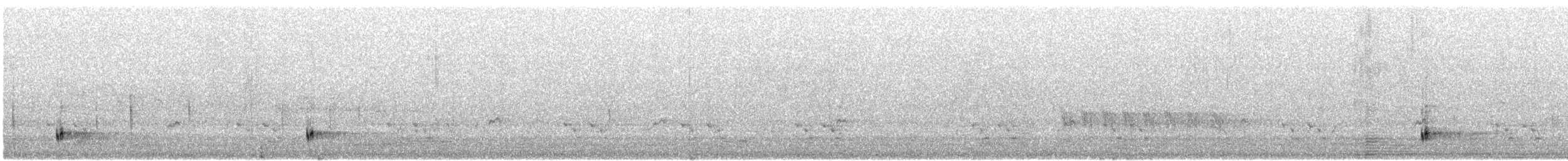 Певчий медосос - ML646382719