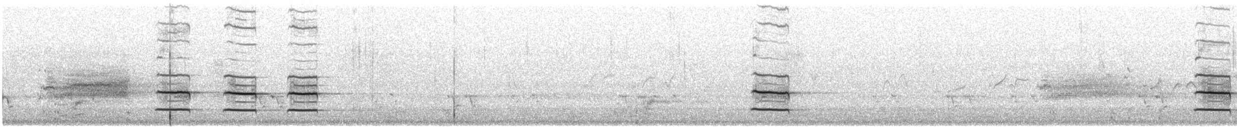 Певчий медосос - ML646382720