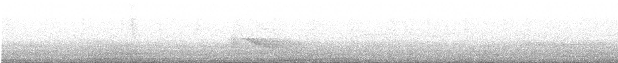 Белохвостый козодой - ML646383119