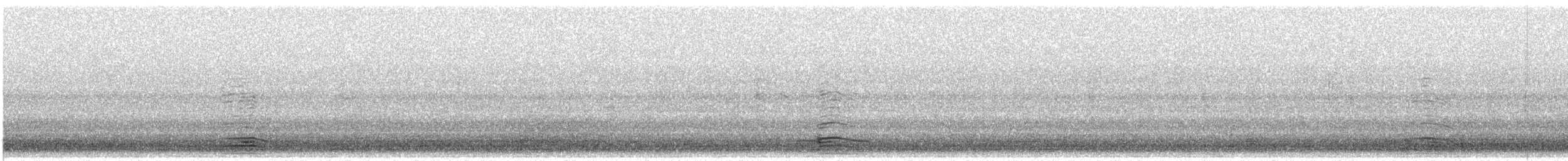 tanımsız kaz (Anser/Branta sp.) - ML646383370