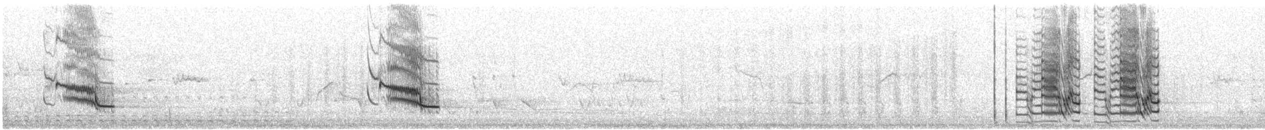 Чернолицый воронец - ML646383418