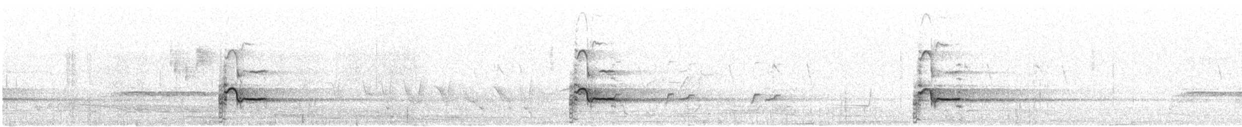 Изменчивый куравонг (versicolor/plumbea) - ML646383435