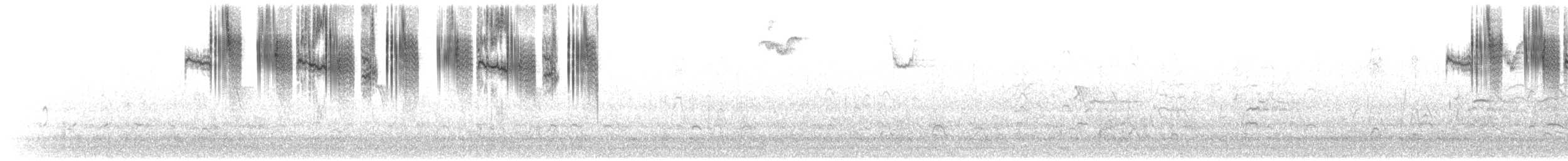 Anna's Hummingbird - ML646384187