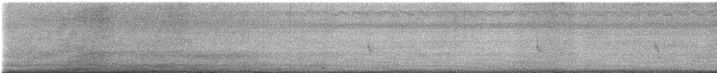 Pale-vented Bush-hen - ML646384285