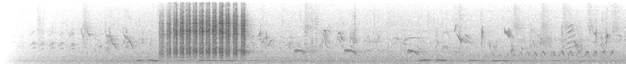 Cactus Wren - ML646384291