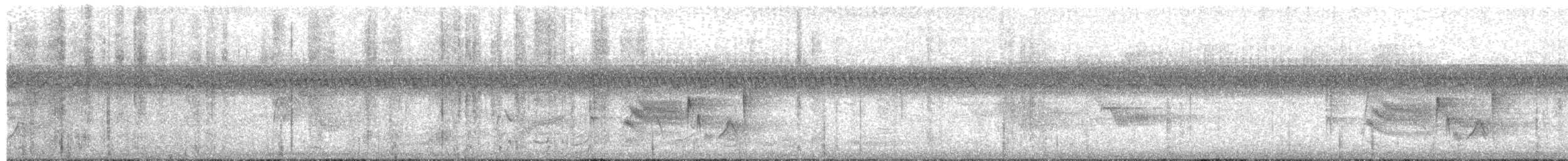 Pileated Woodpecker - ML646384292