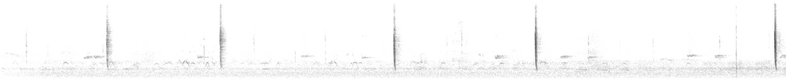 gråbrynspurv - ML646384401