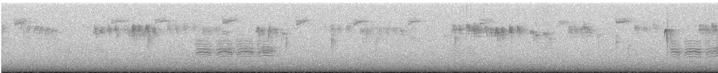 králíček zlatohlavý - ML646385244