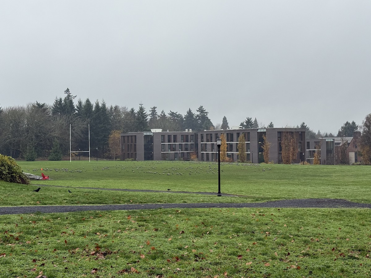 polargås - ML646385350