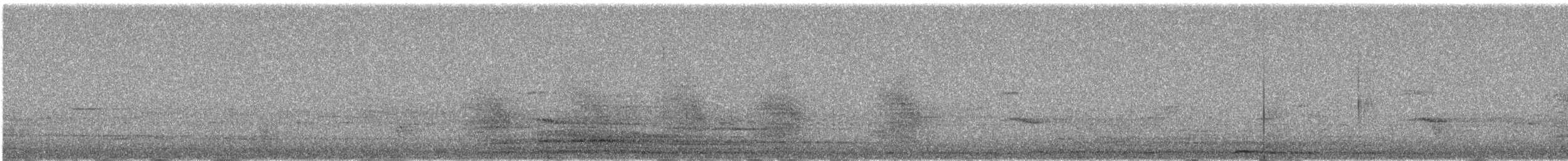 Steller's Jay - ML646385641