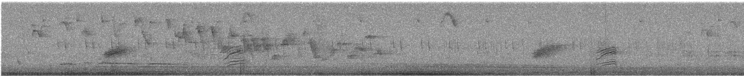 Hermit Thrush - ML646385642