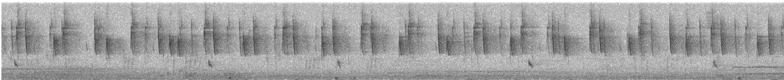 Mexican Violetear - ML646385645