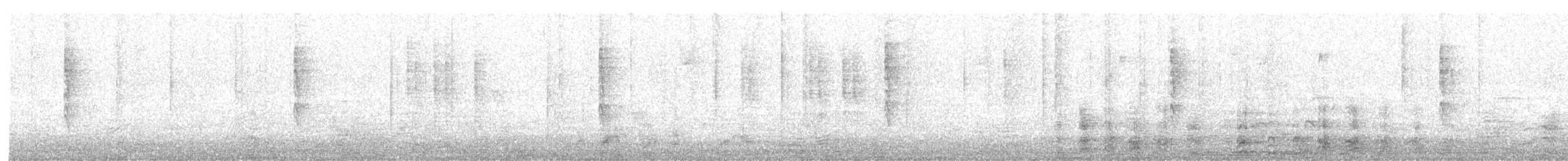 Wilson's Warbler - ML646385707